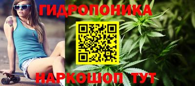 PSILOCYBIN Тулун
