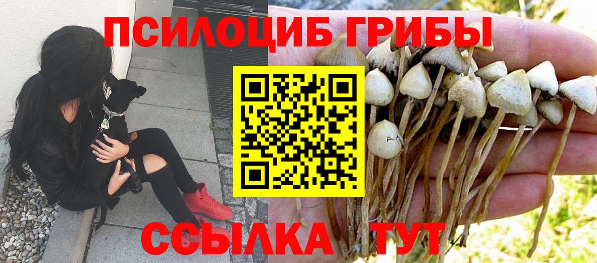 наркота  Псилоцибиновые грибы мицелий  Вход с VPN  Анжеро-Судженск 